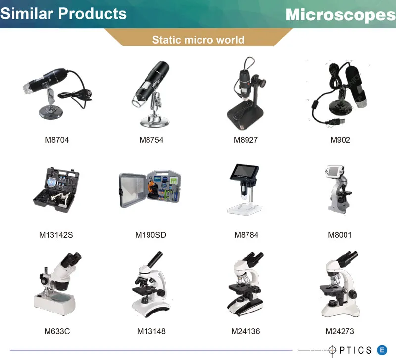 10X-40X Zoom Objective Stereo Trinocular Viewing Head Microscope M6z02b