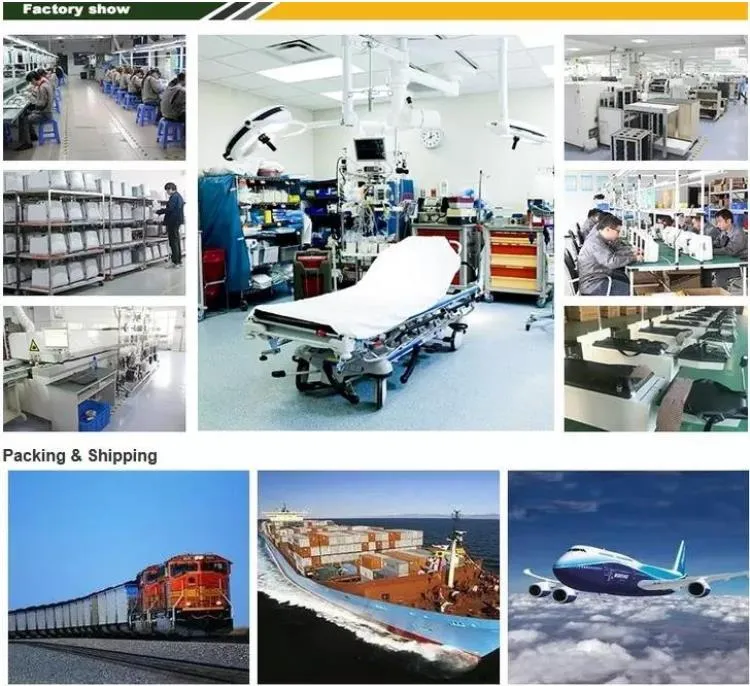 45 Degree Zeiss Type Ent Microscope Surgical Microscope Ear Nose Throat Surgery