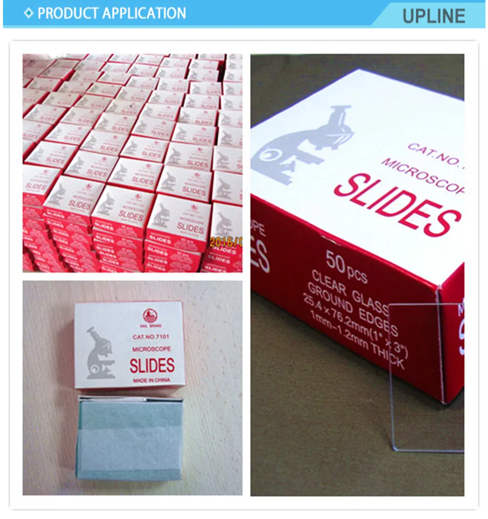 7101 7103 7105 Glass Boxes Sail Brand Prepared Microscope Slide