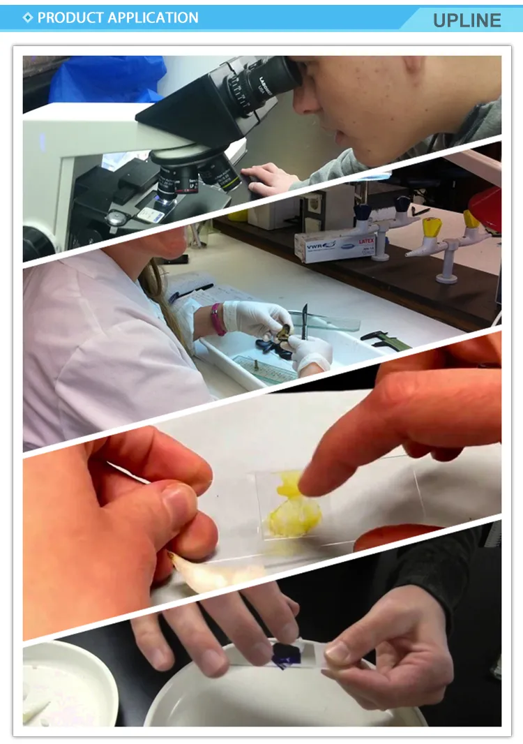 7101 7103 7105 Glass Boxes Sail Brand Prepared Microscope Slide