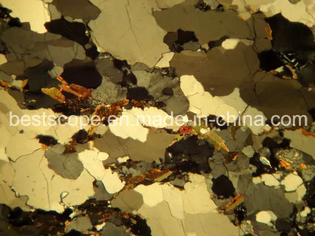 Bestscope BS-5040b Polarizing Microscope with Color Corrected Infinity Optional System