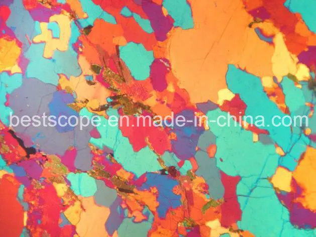 Bestscope BS-5040b Polarizing Microscope with Color Corrected Infinity Optional System