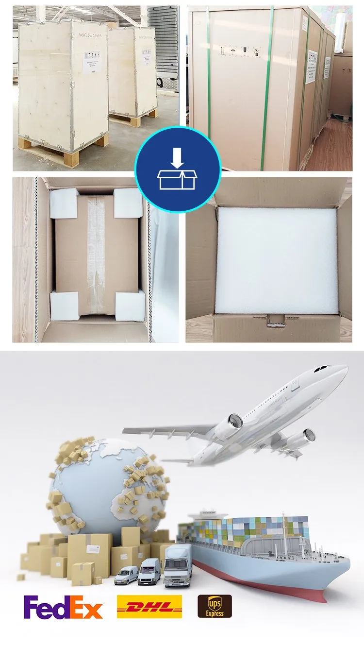 Bioevopeak 40X 100X 400X 1000X Trinocular (Siedentopf) Optical Biological Microscope