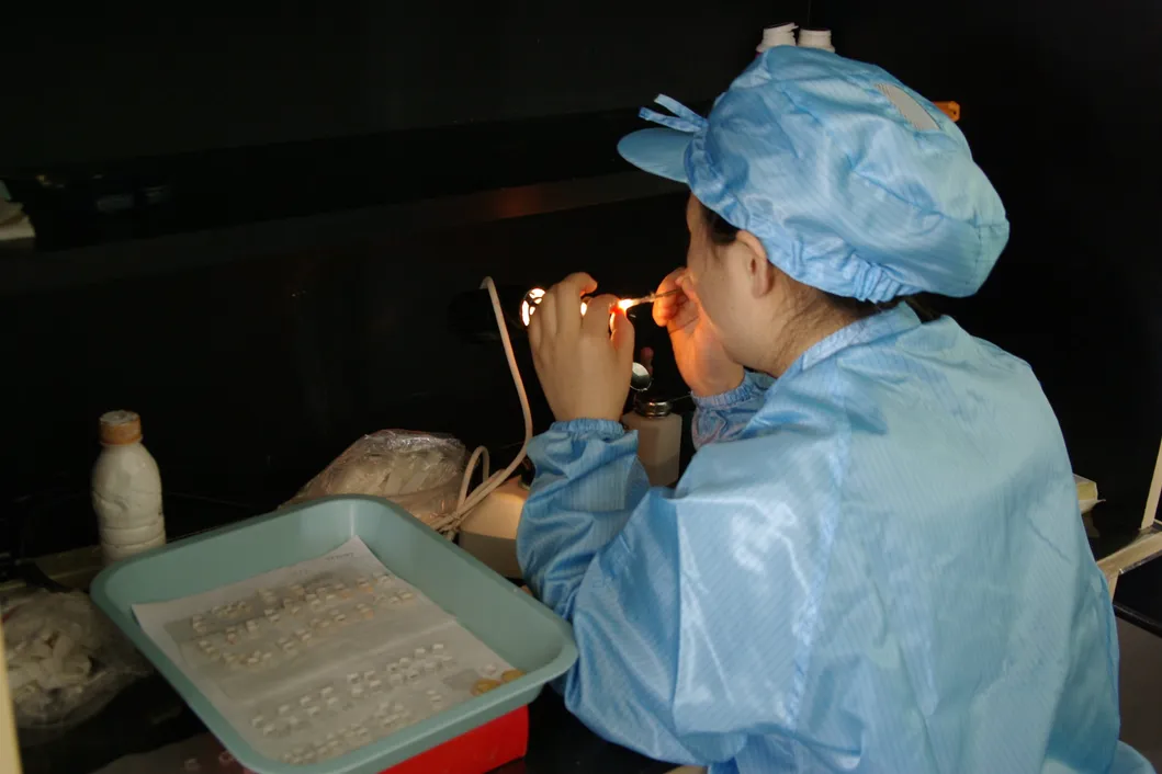 Cylindrical Plano Convex Lenses