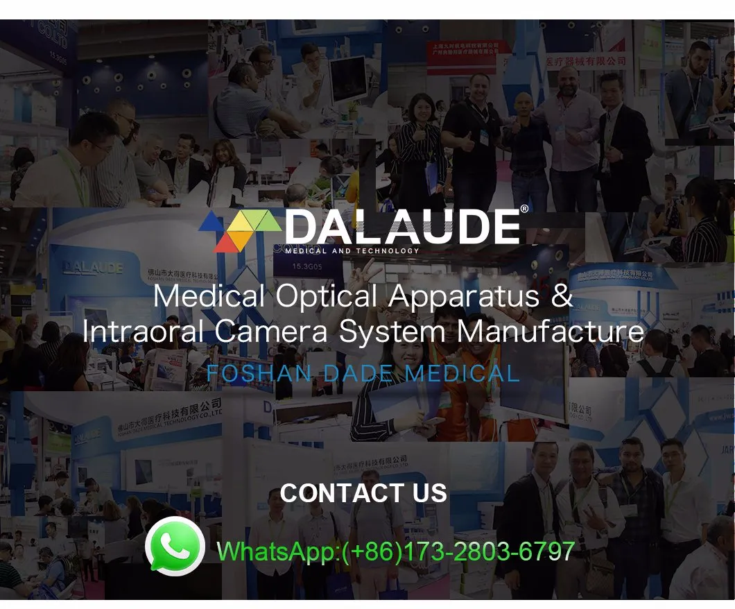 Dalaude Dental Teaching Optional Dental Equipment Like Microscope with Camera