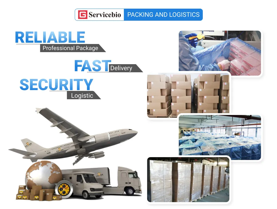 Desktop Small Pendulum Oscillator with Resume Function