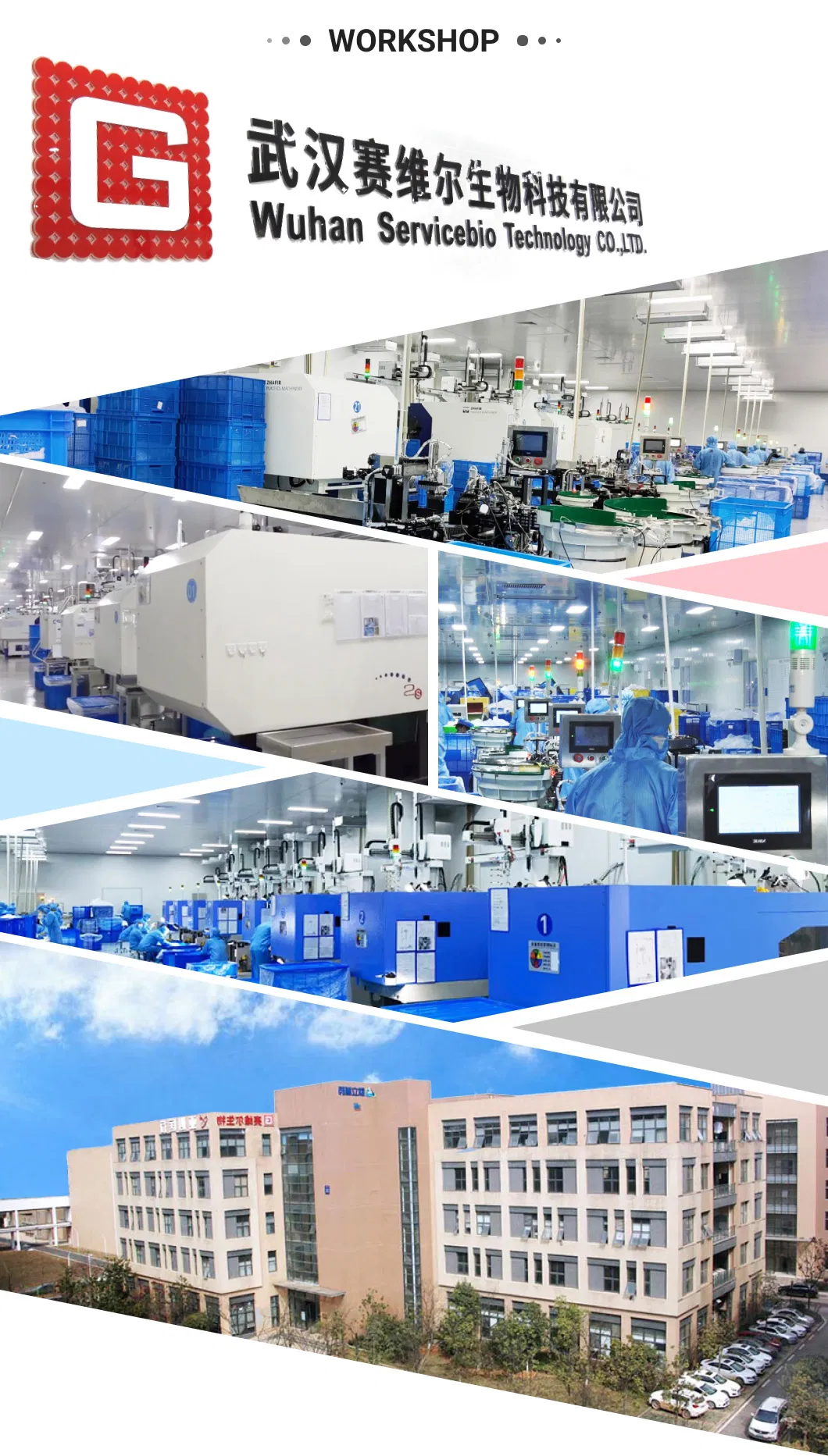 Large Capacity Digital Display Pendulum Oscillator