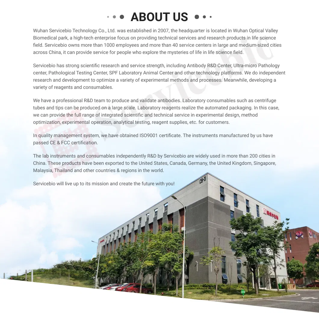 Large Capacity Digital Display Pendulum Oscillator