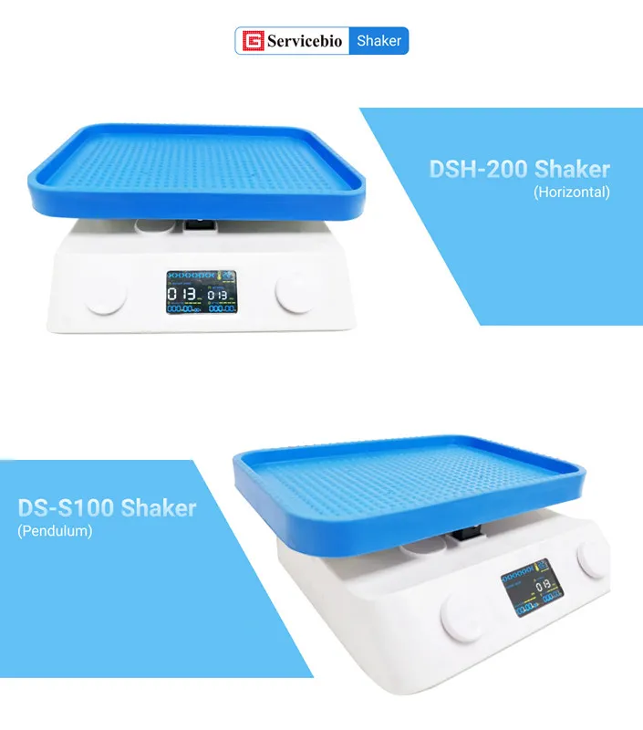 Large Capacity Digital Display Pendulum Oscillator