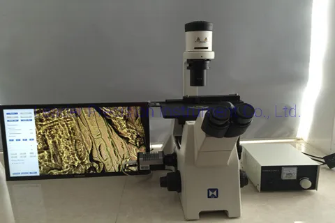 LED Illumination Inverted Binocular Biological Microscope (LIB-305)