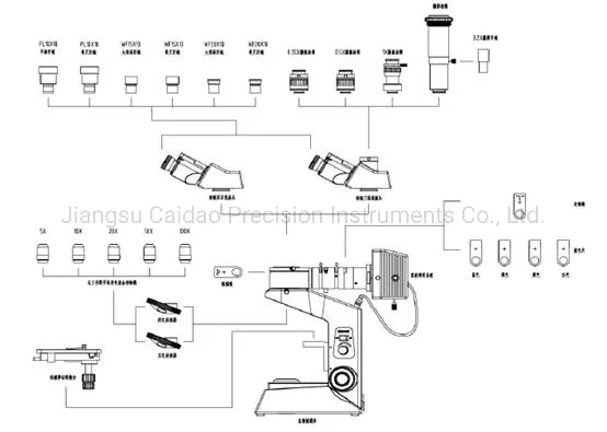 Professional Lab Transmission Polarizing Microscope with Digital Camera Intc-LV11