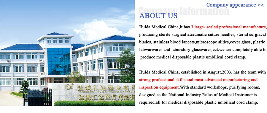 Separatory Funnel Squib Pear Shape with Ground -in Glass Stopper and Glass/PTFE Stopcock