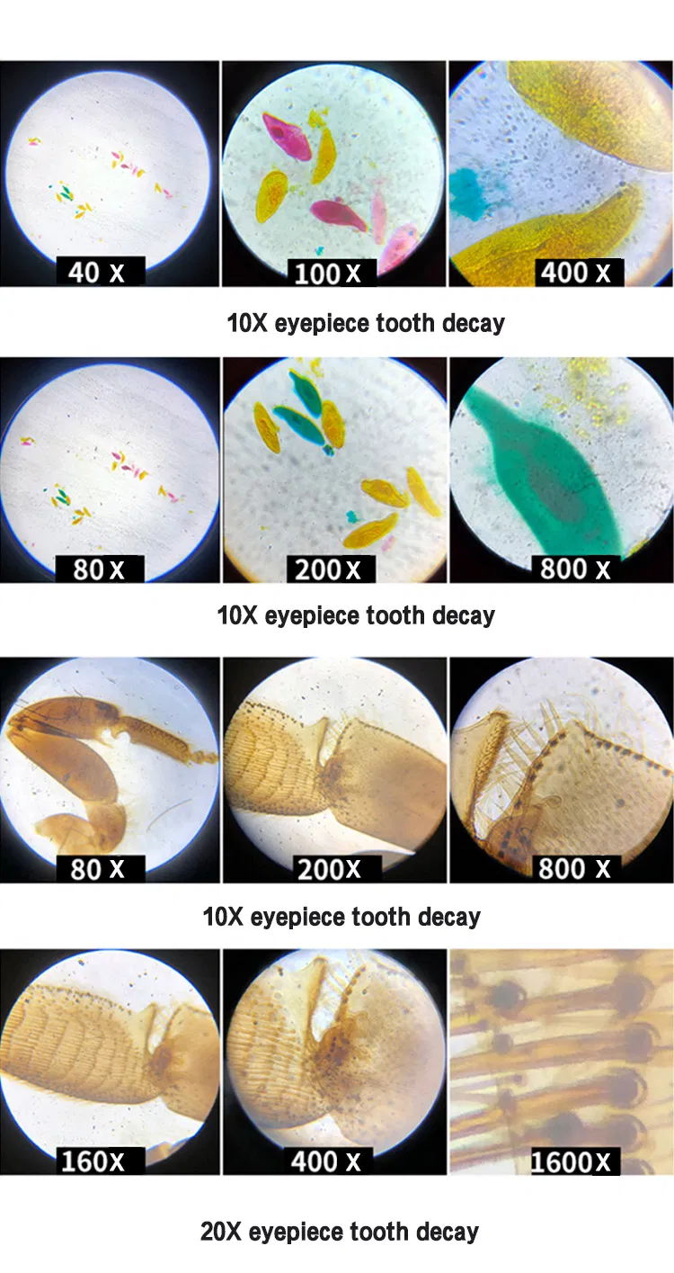 Tcsp-3ca Monocular Zoom Microscope 10X Best Binocular Zoom Microscope