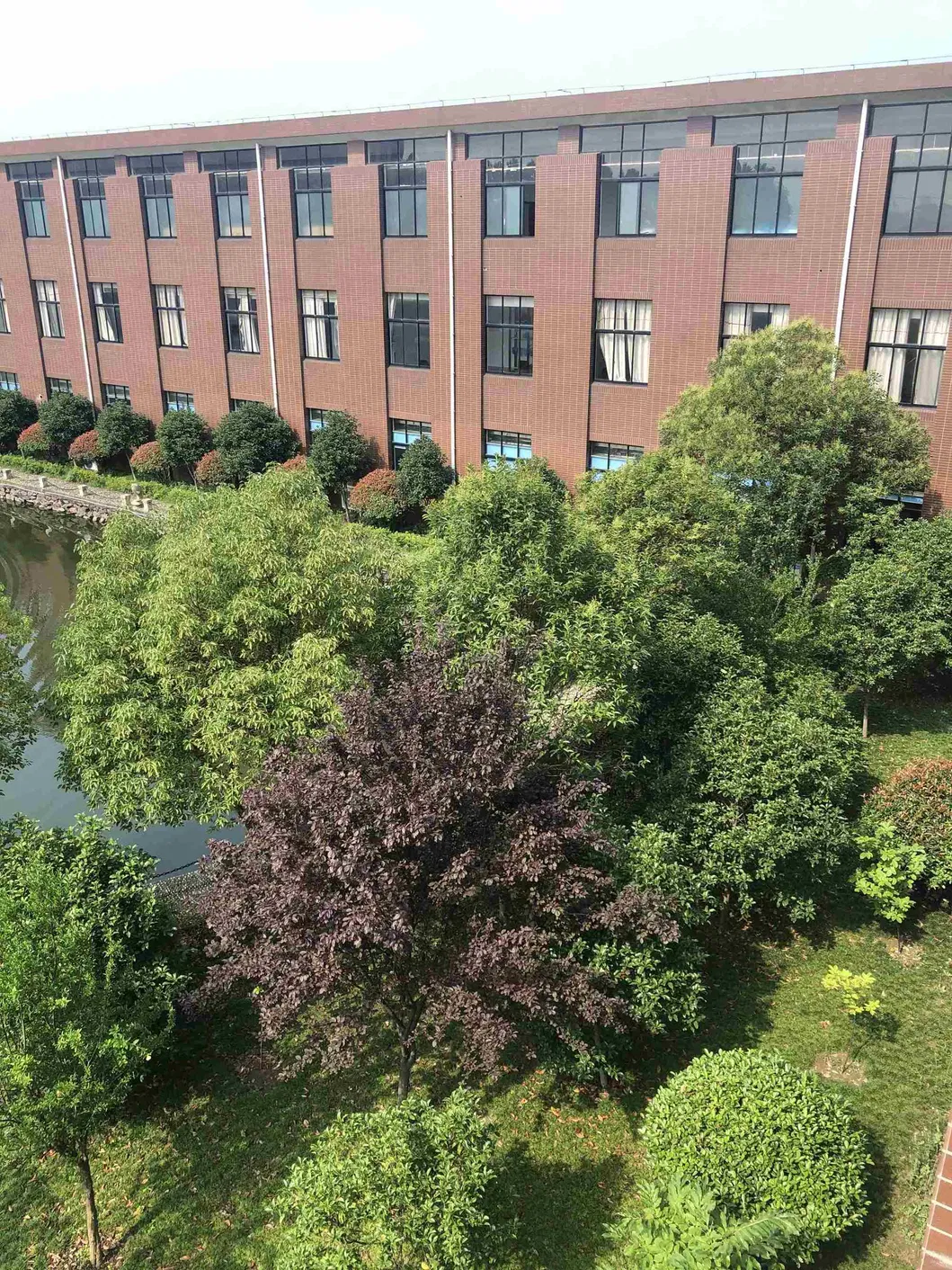 The Latest Product 50mm Objective Lens Is Suitable for Microscope Lenscomponents