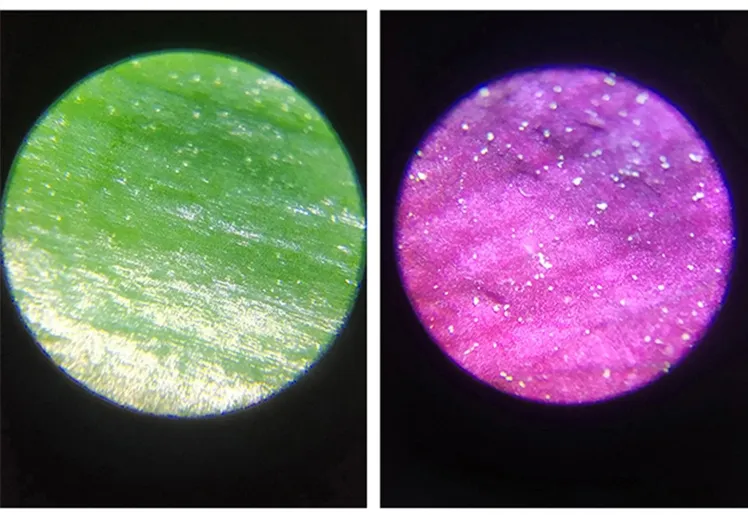 Xsp-055b-If Infinite Optical System Binocular Microscope