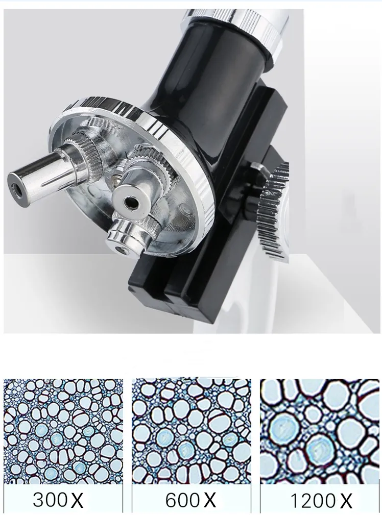 Xsp-055b-If Infinite Optical System Binocular Microscope